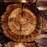 Oświetlenie jako ważny element nowoczesnego rolnictwa – jak zielona energia odmienia agrobiznes